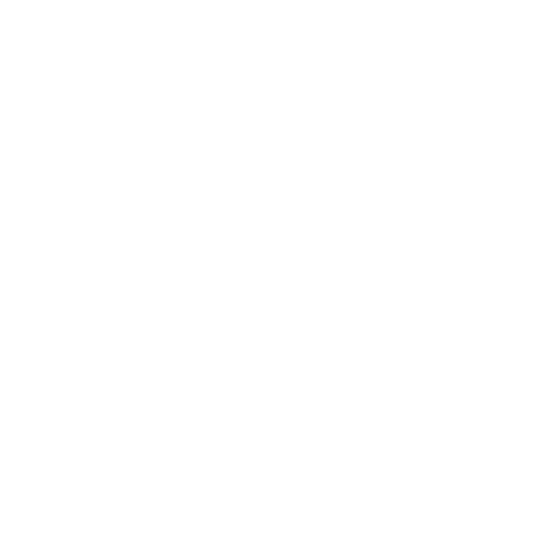 Safe-PASS-logo-white-.png