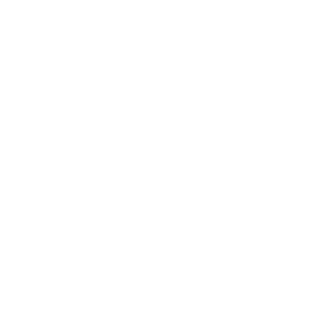 De Vreese Wit