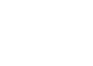 custom_designs_logo wit