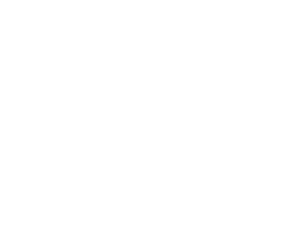 duprez logo wit