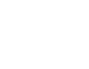 duprez logo wit